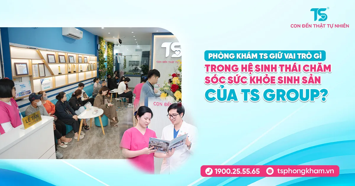 Phòng khám TS giữ vai trò gì trong hệ sinh thái chăm sóc sức khỏe sinh sản của TS GROUP?