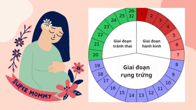 Tư vấn mang thai tự nhiên: chuẩn bị gì, theo dõi chu kỳ ra sao, khi nào nên đi tư vấn?