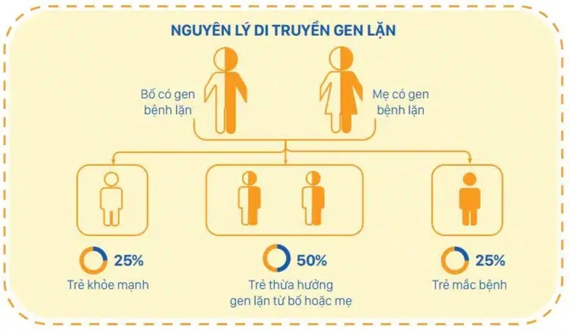 Khám tiền hôn nhân tại Hà Nội chi phí bao nhiêu Cách chọn gói phù hợp và tiết kiệm