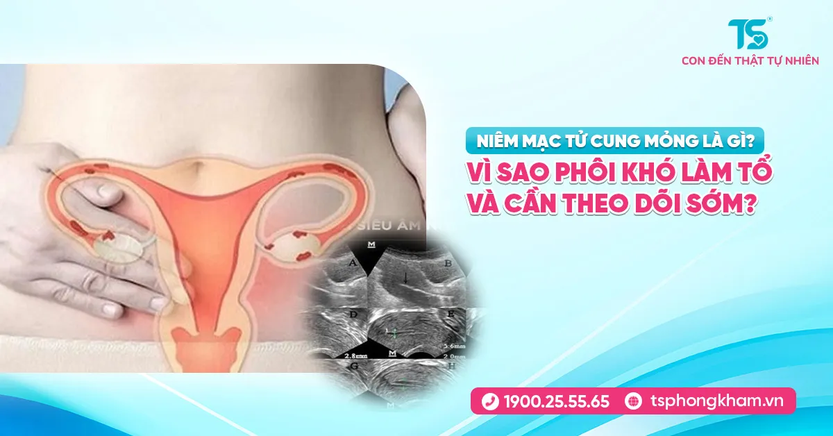 Niêm mạc tử cung mỏng là gì? Vì sao phôi khó làm tổ và cần theo dõi sớm?
