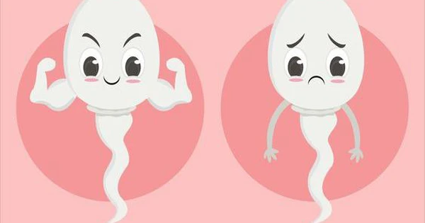 Phương pháp INC cho nam Tinh trùng yếu, dị dạng có thể cải thiện như thế nào