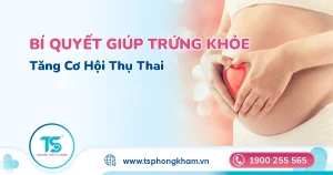 Cách hỗ trợ chất lượng trứng tự nhiên