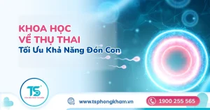 Cách tối ưu khả năng thụ thai tự nhiên