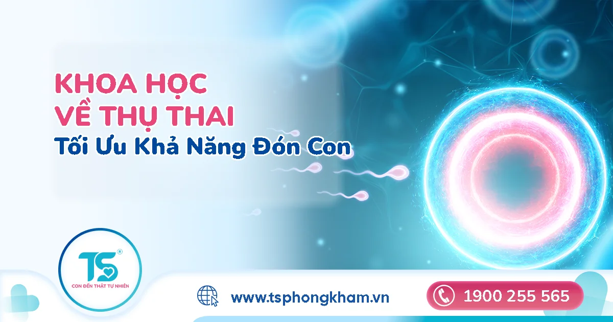 Cách tối ưu khả năng thụ thai tự nhiên
