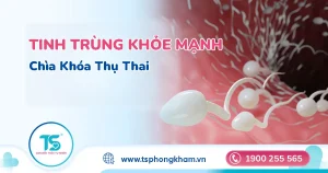 Chất lượng tinh trùng ảnh hưởng thế nào đến thụ thai tự nhiên