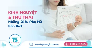 Chu kỳ kinh nguyệt ảnh hưởng thế nào đến khả năng thụ thai