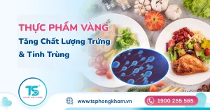 Dinh dưỡng sinh sản: Ăn gì để tăng chất lượng trứng và tinh trùng?
