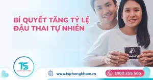 Làm sao để tăng khả năng thụ thai khi thả bầu tự nhiên