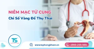 Niêm mạc tử cung trong siêu âm canh trứng