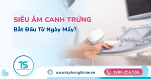 Siêu âm canh trứng bắt đầu từ ngày mấy