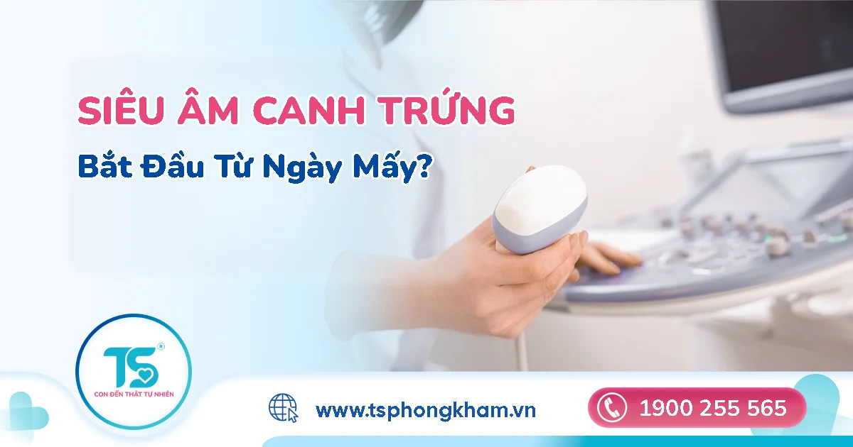 Siêu âm canh trứng bắt đầu từ ngày mấy
