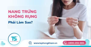 Siêu âm canh trứng phát hiện nang không rụng
