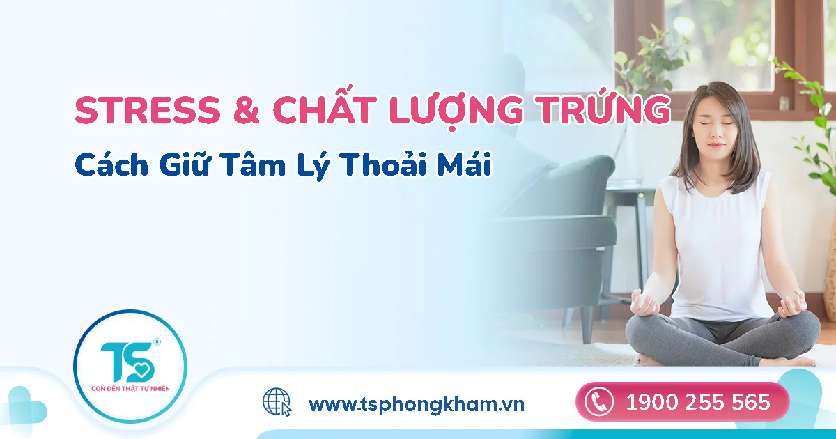 Stress ảnh hưởng đến chất lượng trứng