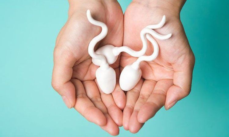 Những thói quen hàng ngày đang âm thầm ảnh hưởng đến sức khoẻ tinh trùng