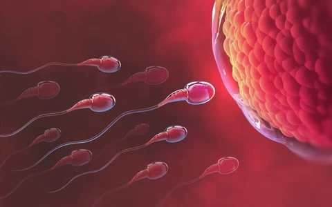 Những thói quen hàng ngày đang âm thầm ảnh hưởng đến sức khoẻ tinh trùng
