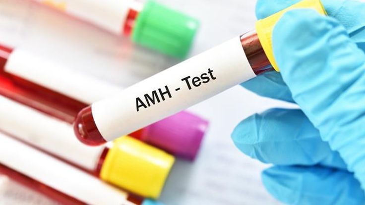 AMH Thấp Phải Làm Gì? Hướng Đi Đúng Để Tối Ưu Cơ Hội Mang Thai
