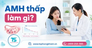 AMH Thấp Phải Làm Gì? Hướng Đi Đúng Để Tối Ưu Cơ Hội Mang Thai